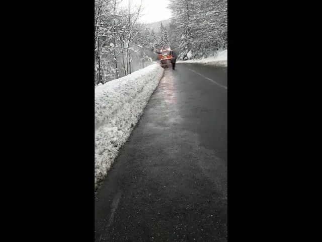 Intervenție pe DN 1A (VIDEO)