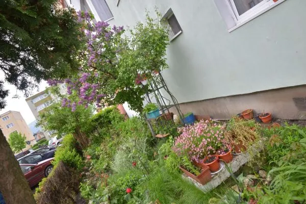 FOTO Cea mai îngrijită grădină din municipiul Brașov a fost premiată de Primărie