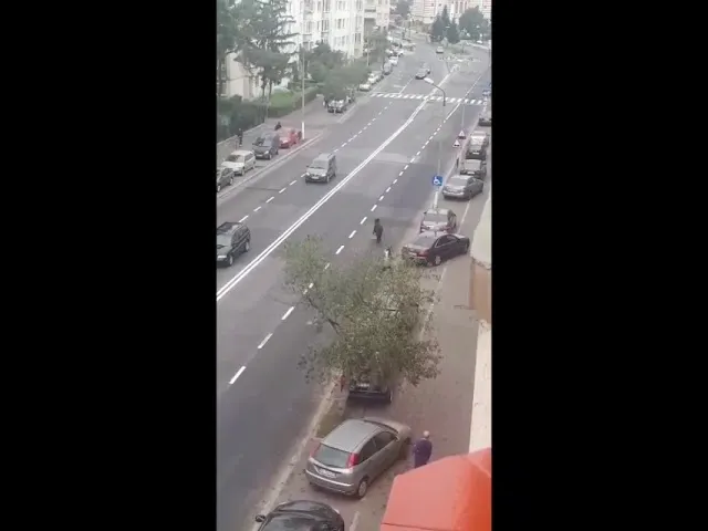 VIDEO Cal filmat în trafic, pe DN1
