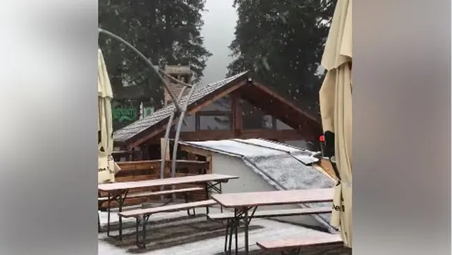 VIDEO Prima ninsoare din acest sezon, în Postăvarul