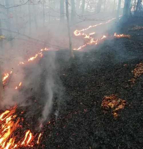 FOTO Incendiu de vegetație uscată