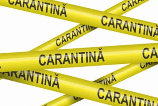 ULTIMĂ ORĂ: Primărie din județ, ÎN CARANTINĂ! Viceprimar depistat pozitiv cu coronavirus!