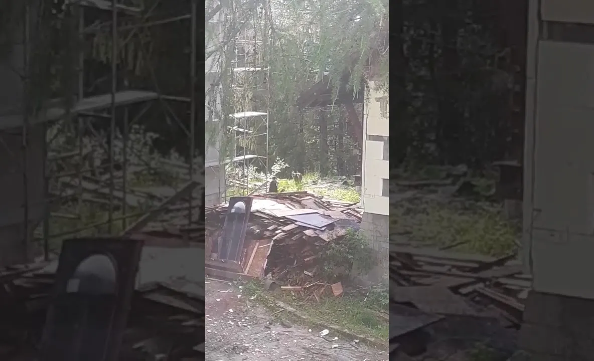 VIDEO Urs împuşcat, la Predeal!