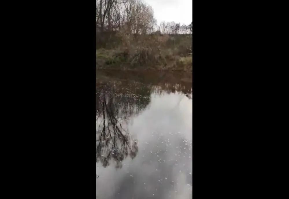VIDEO Pârâu poluat în județul Brașov!