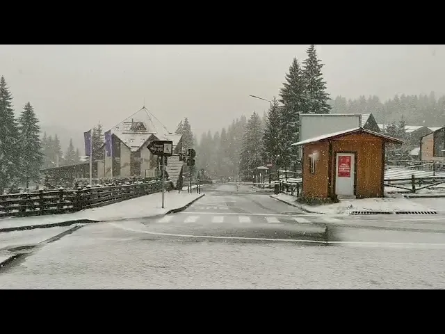 VIDEO Ninge în Poiana Braşov!