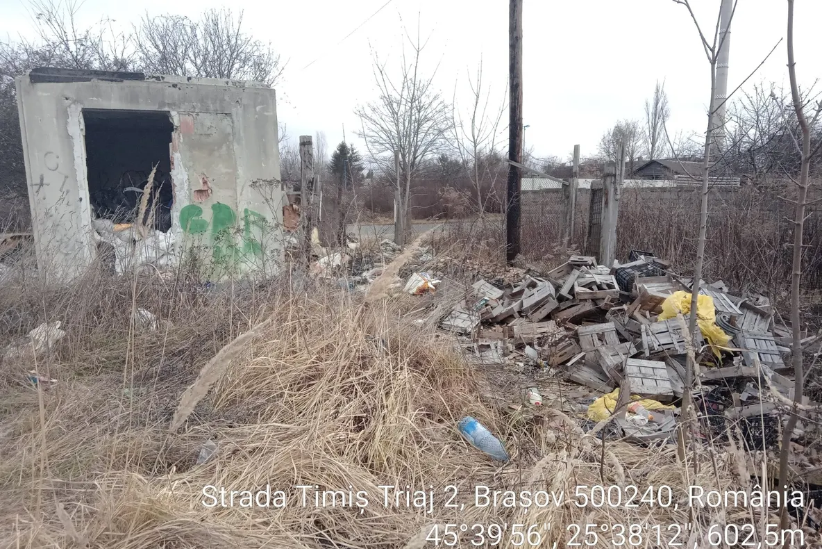 FOTO Focar de infecție în zona Timiș - Triaj