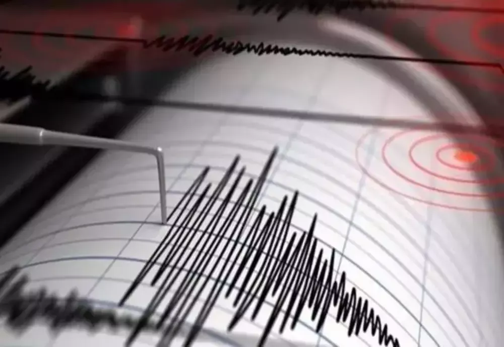 CUTREMUR, vineri dimineață, în România. Ce magnitudine a avut seismul