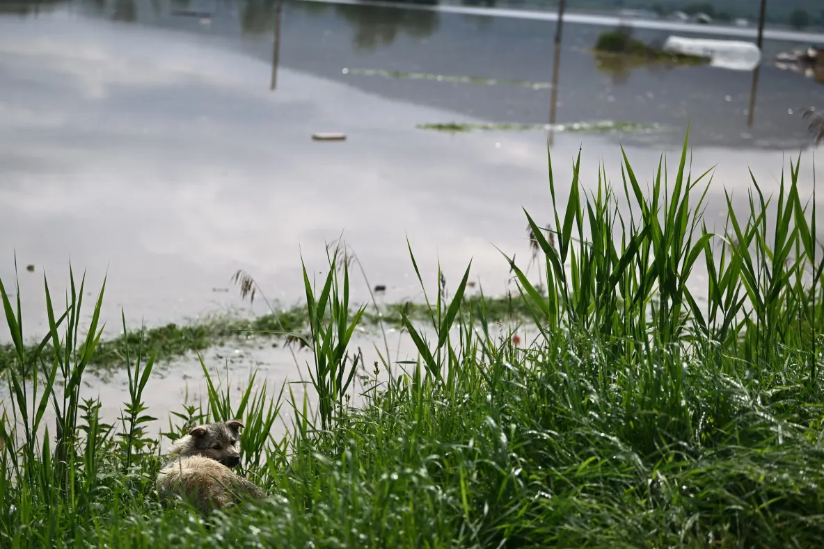 Cod portocaliu de inundații în trei județe din țară. Hidrologii avertizează asupra riscului de viituri