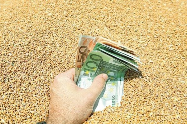 Ajutor de 2,5 milioane de euro, pentru investiții în agricultură