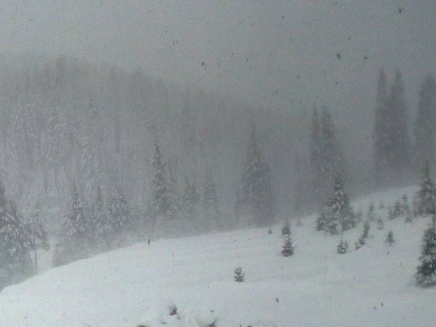 Intervenție a salvamontiștilor, la limita dintre județele Prahova și Brașov