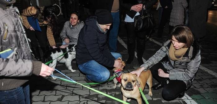 ULTIMĂ ORĂ: Protest pașnic, ASTĂZI, la Brașov