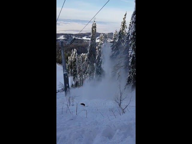 VIDEO Pomii periculoși de pe pârtiile din Poiana Brașov, puși la pământ