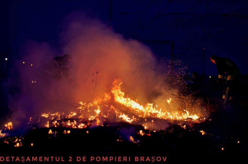 FOTO Vegetație uscată, distrusă de flăcări