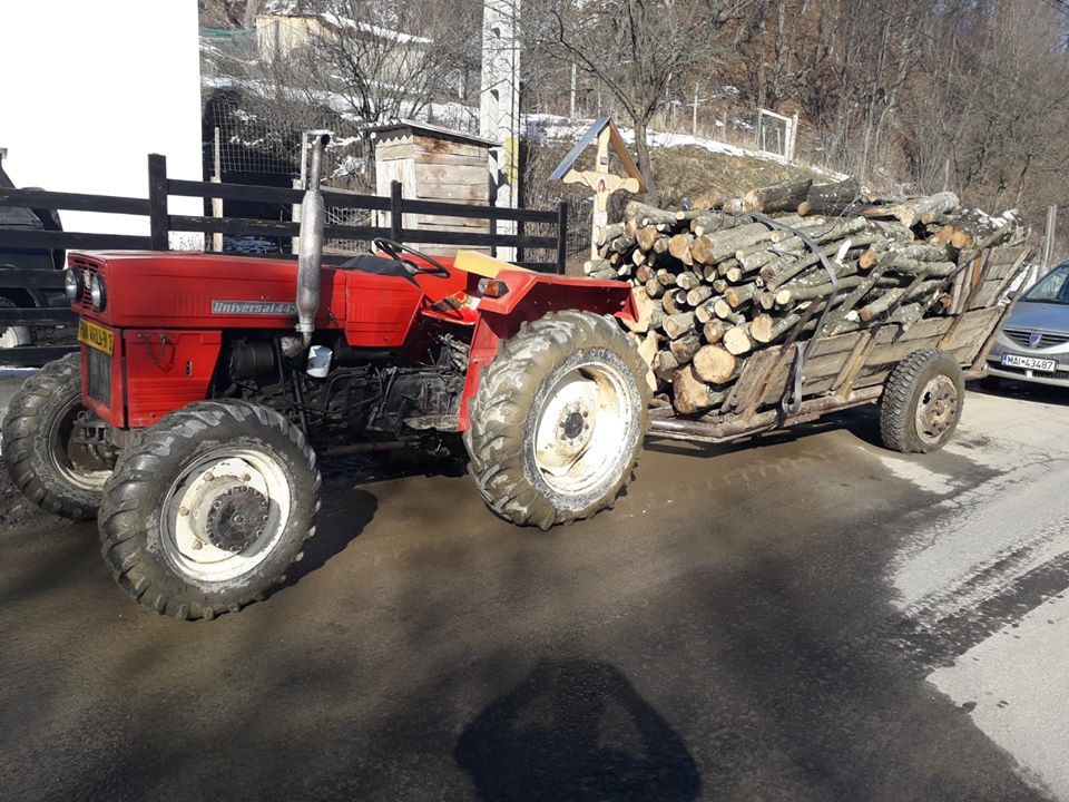 Hoții de lemne din Brașov, amendați cu 30.000 de lei, într-o singură zi