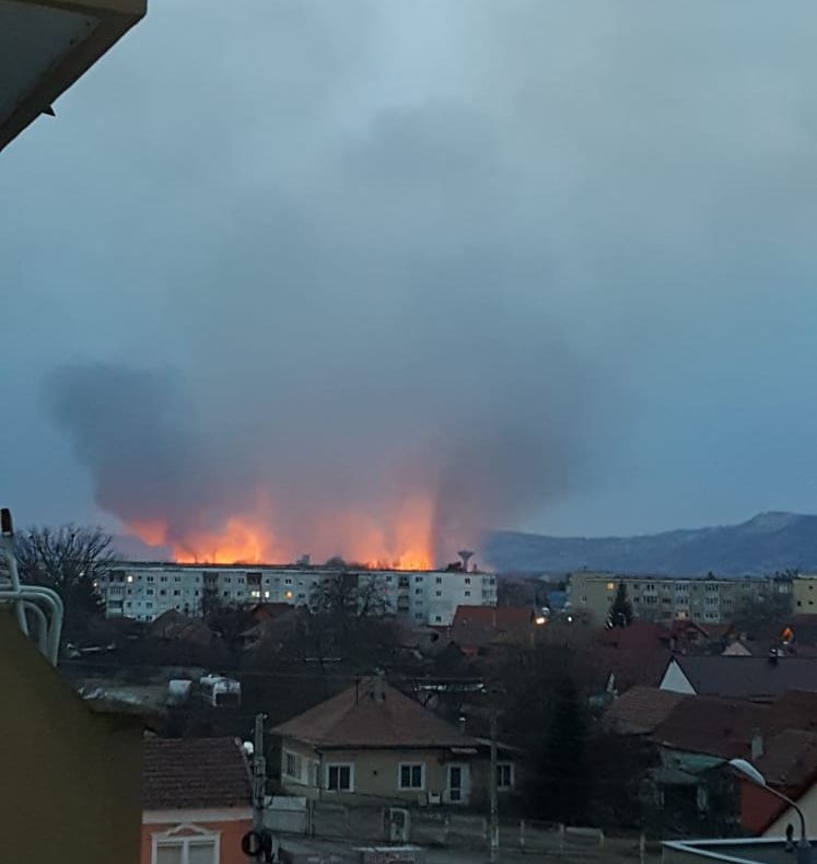 FOTO Incendiu violent de vegetaţie! Traficul pe DN1, blocat!