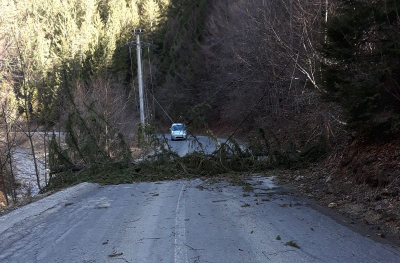 FOTO + VIDEO Pagube produse de vântul puternic, în județul Brașov