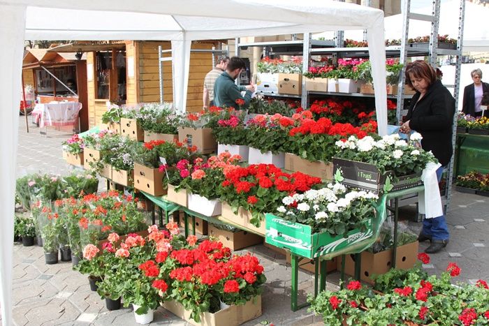 Care sunt zonele autorizate de Primărie, pentru comercializarea florilor, de 8 martie?