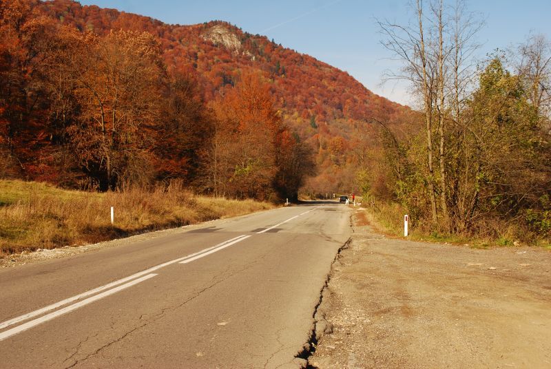 VIDEO Atenție, șoferi! DRDP taie copacii periculoși, pe DN 73A