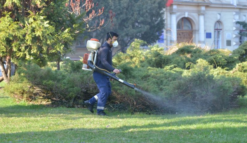 La solicitarea brașovenilor, Primăria a început "lupta" împotriva căpușelor