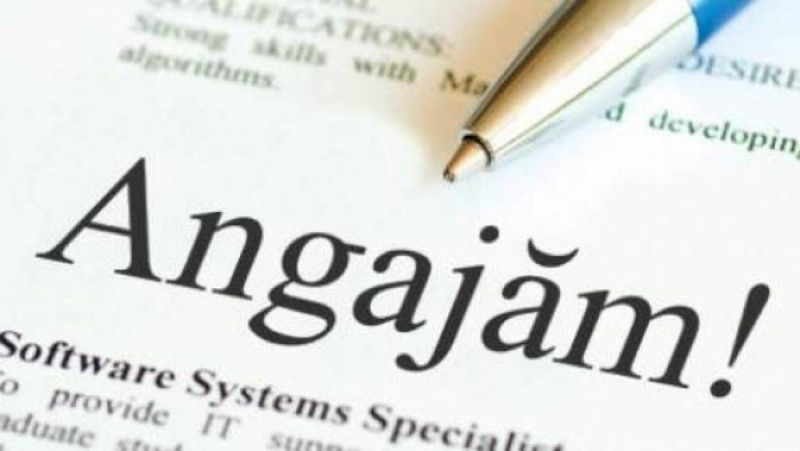 Cauți un loc de muncă? RIAL SRL angajează!