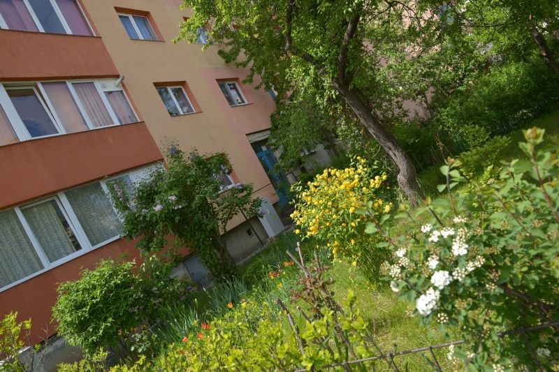 FOTO Cum arată cele mai frumoase grădini din municipiul Brașov?