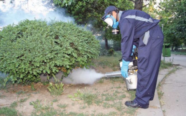A doua campanie de dezinsecție din iunie