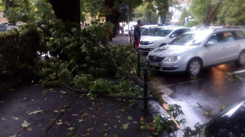 FOTOGALERIE Intervenții după "ruperea de nori" de aseară
