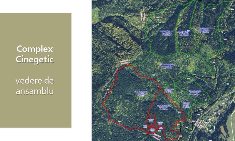 VIDEO Proiect inedit în Europa, la Brașov! 100 de urși vor fi hrăniți cu ajutorul dronelor, lângă DN1