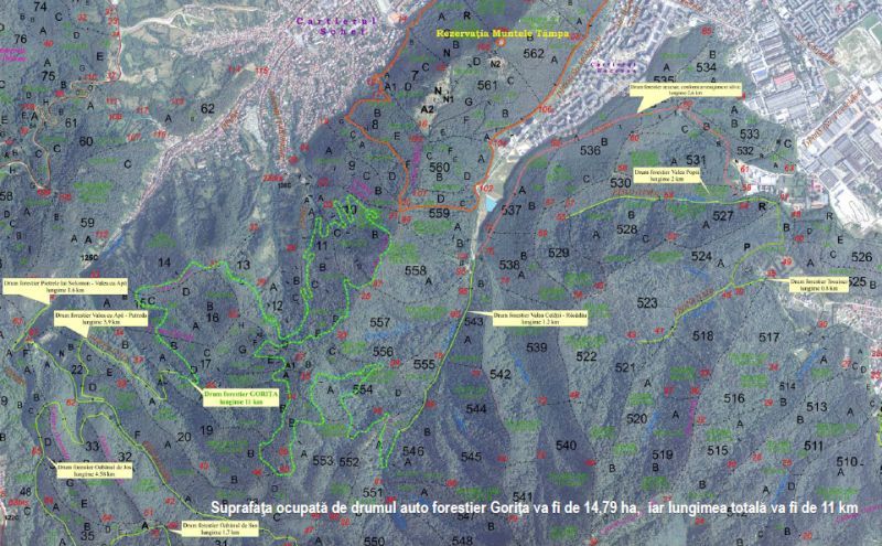 VIDEO Drum forestier de 11 kilometri