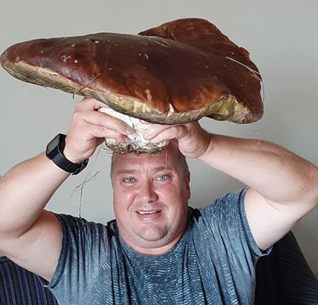 FOTO+VIDEO Ciuperci GIGANTICE culese de un brașovean