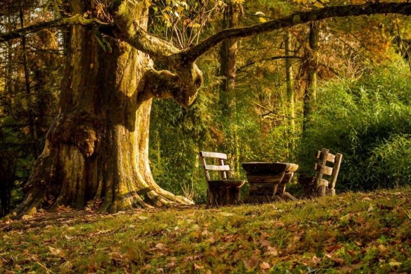 Încep lucrările la Parcul Dendrologic din cartierul Noua