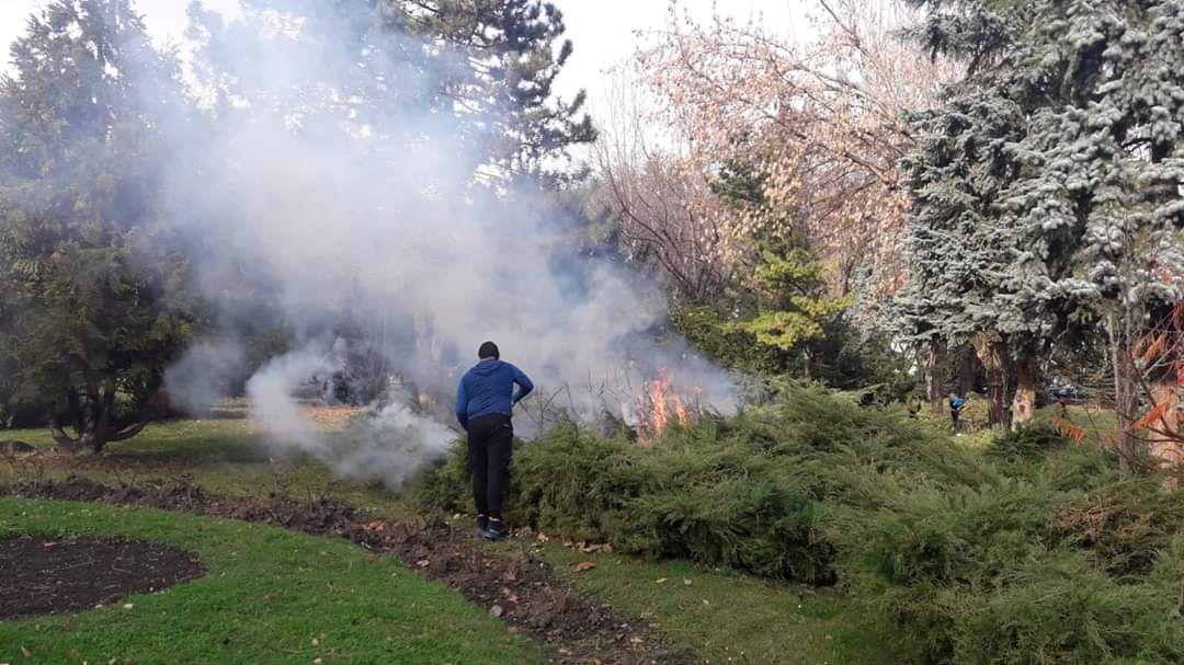 FOTO Incendiu în Parcul Central