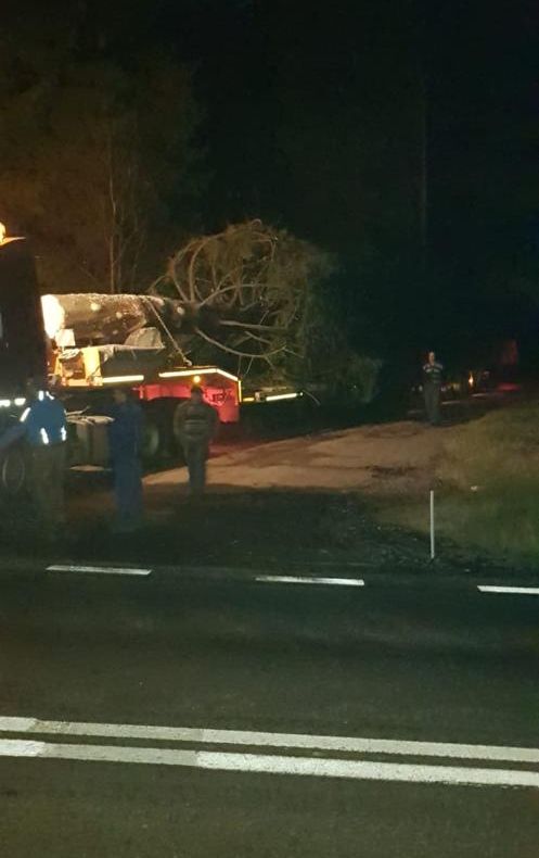 FOTO Cum arată bradul de sărbători, din Piaţa Sfatului