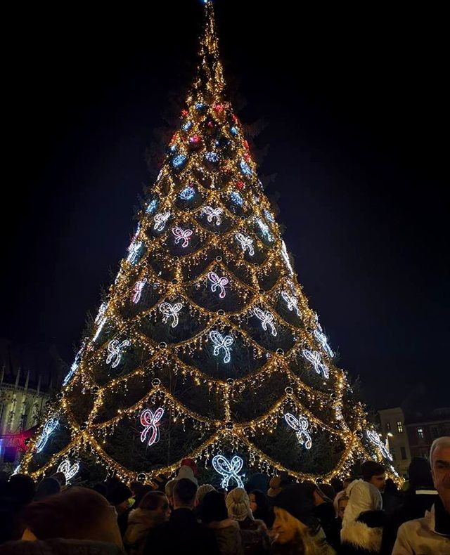 Copiii din Gârcini văd, pentru prima dată, bradul de Crăciun