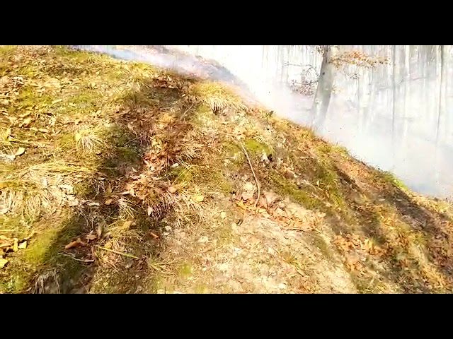 VIDEO Ard 12 hectare de litieră, la Ohaba