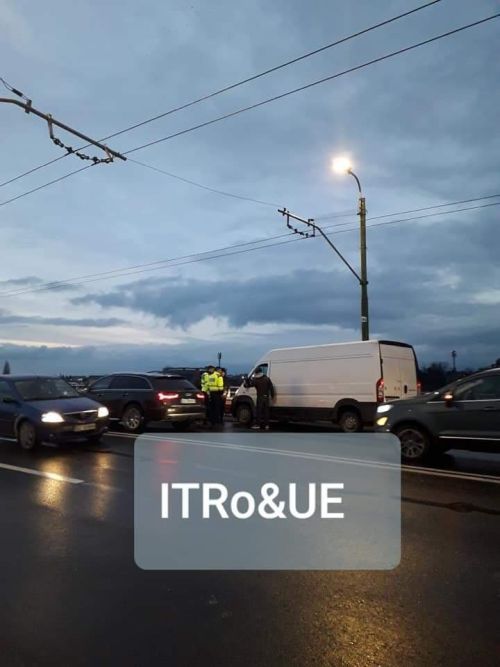 FOTO Cal omorât în accident rutier