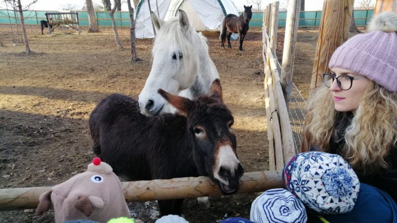 VIDEO + FOTO Ferma educațională a animalelor salvate, proiect inedit, la Brașov