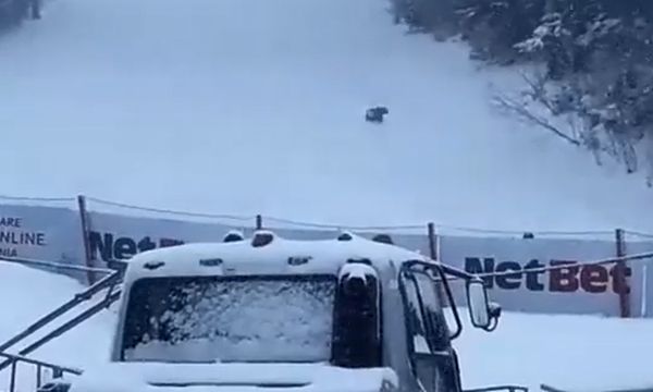 VIDEO Urs filmat în timp ce se joacă pe pârtie