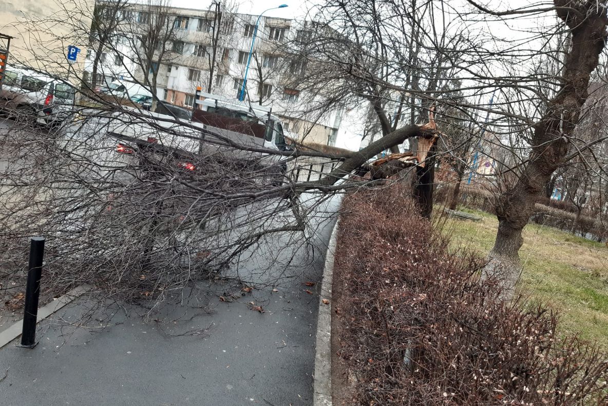 26 de intervenții ale ISU, din cauza vântului! Recomandările autorităților