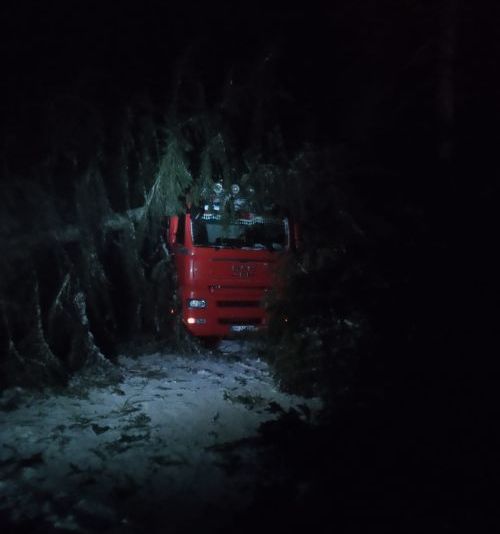 VIDEO Pagube produse de vreme! Brad căzut pe un TIR