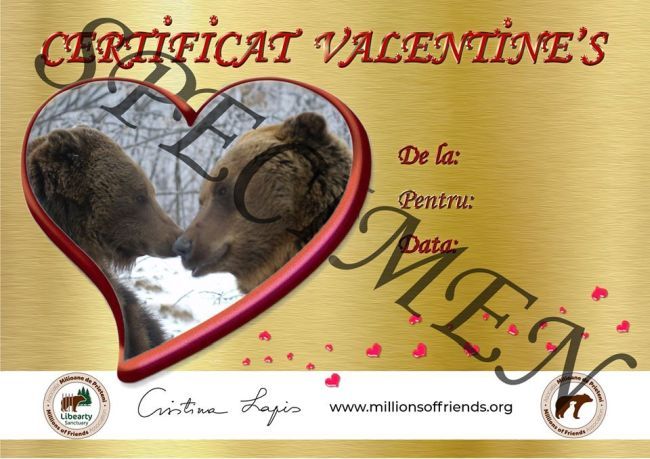 Certificate de adopție virtuală! De Valentine's Day putem demonstra că iubim animalele