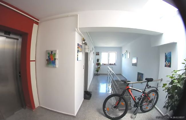 VIDEO S-au chinuit aproape 3 ore să fure o bicicletă! Încercarea a eșuat, dar hoții au intrat în atenția polițiștilor!