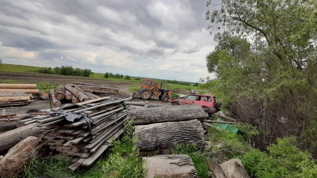 Aproape 70 de metri cubi de material lemnos, fără documente de proveniență, la o societate din județul Brașov!
