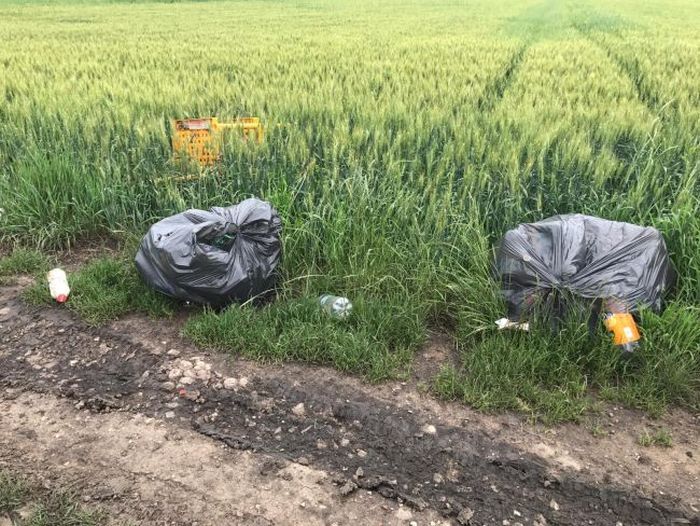 FOTO+VIDEO Bărbați filmați în timp ce aruncau deșeuri la marginea unei rezervații naturale din județul Brașov