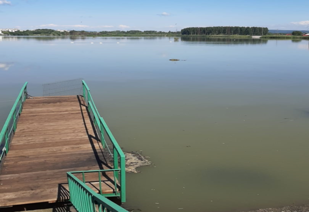 Femeie dispărută, găsită moartă în râul Olt