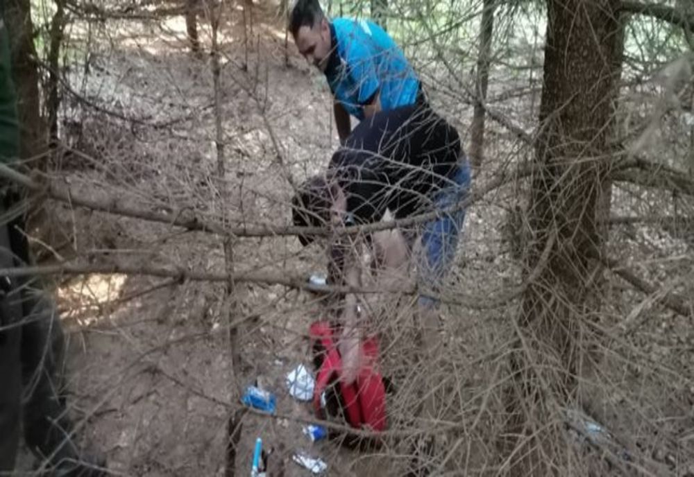 FOTO O ursoaică i-a scos toate bunurile din rucsac unui brașovean care vizita Lacul Sfânta Ana
