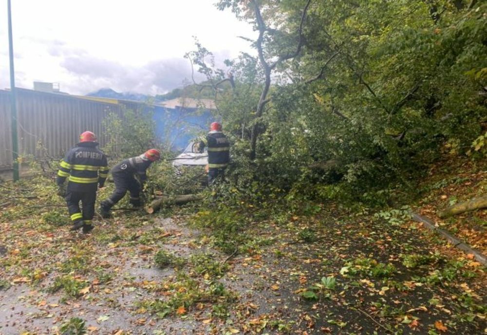 Un copac a căzut pe o mașină, în municipiul Brașov