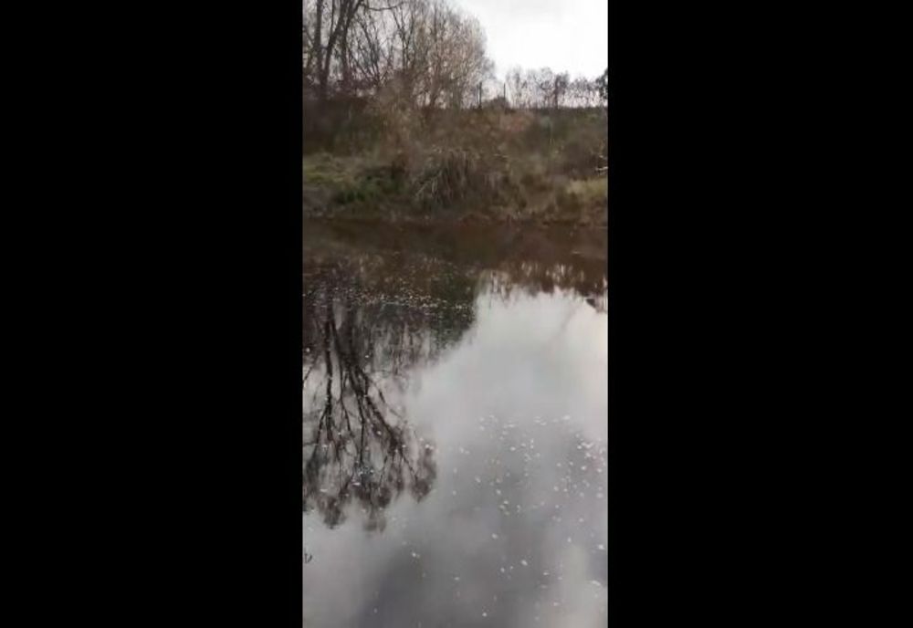 VIDEO Pârâu poluat în județul Brașov!