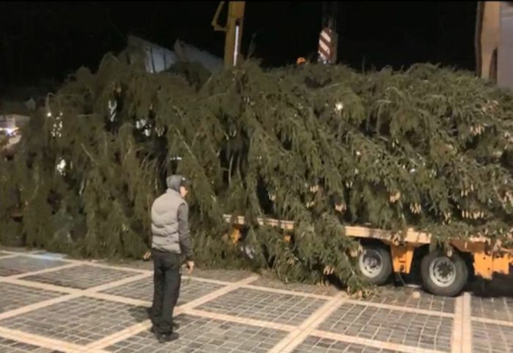 LIVE VIDEO Bradul de Crăciun este montat în Piața Sfatului!