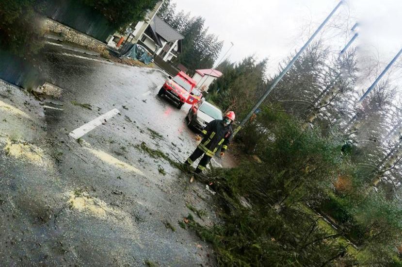 FOTO Mașină avariată de un copac căzut
